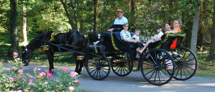 Carriage Tours of Pinehurst