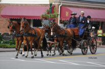 Antique Horse Carriage Parade
