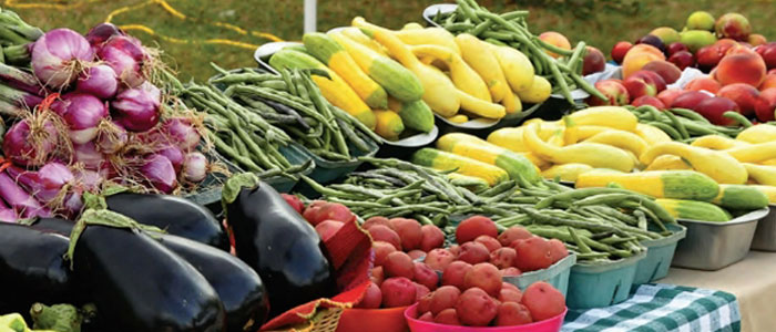 Sandhills Farmers Green Market Pinehurst